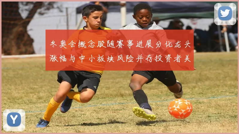 冬奥会概念股随赛事进展分化龙头涨幅与中小板块风险并存投资者关注